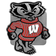 Wisconsin Badgers Hitch Cover Class III Wire Plugs